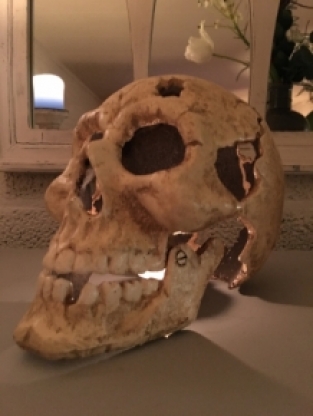 Large Anatomical Skull | Cast iron | White-rust